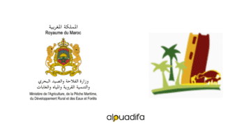 Concours ORMVAT 2025