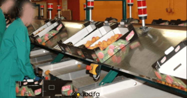 Emploi Opérateur Emballage El Jadida