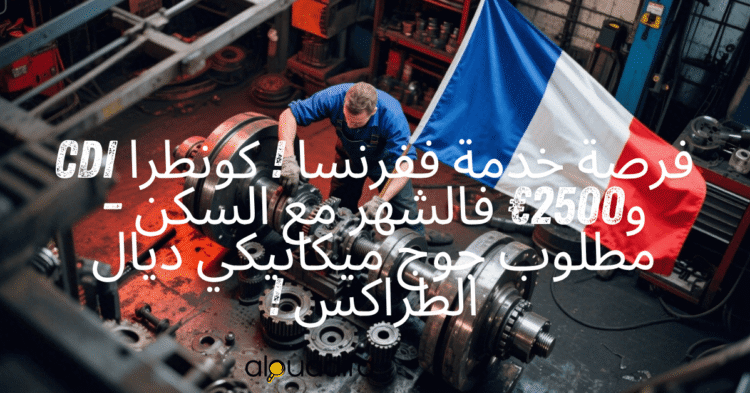 Offre mécanicien poids lourds France