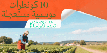 Offres emploi saisonnier France 2025