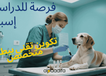 تكوين بيطري