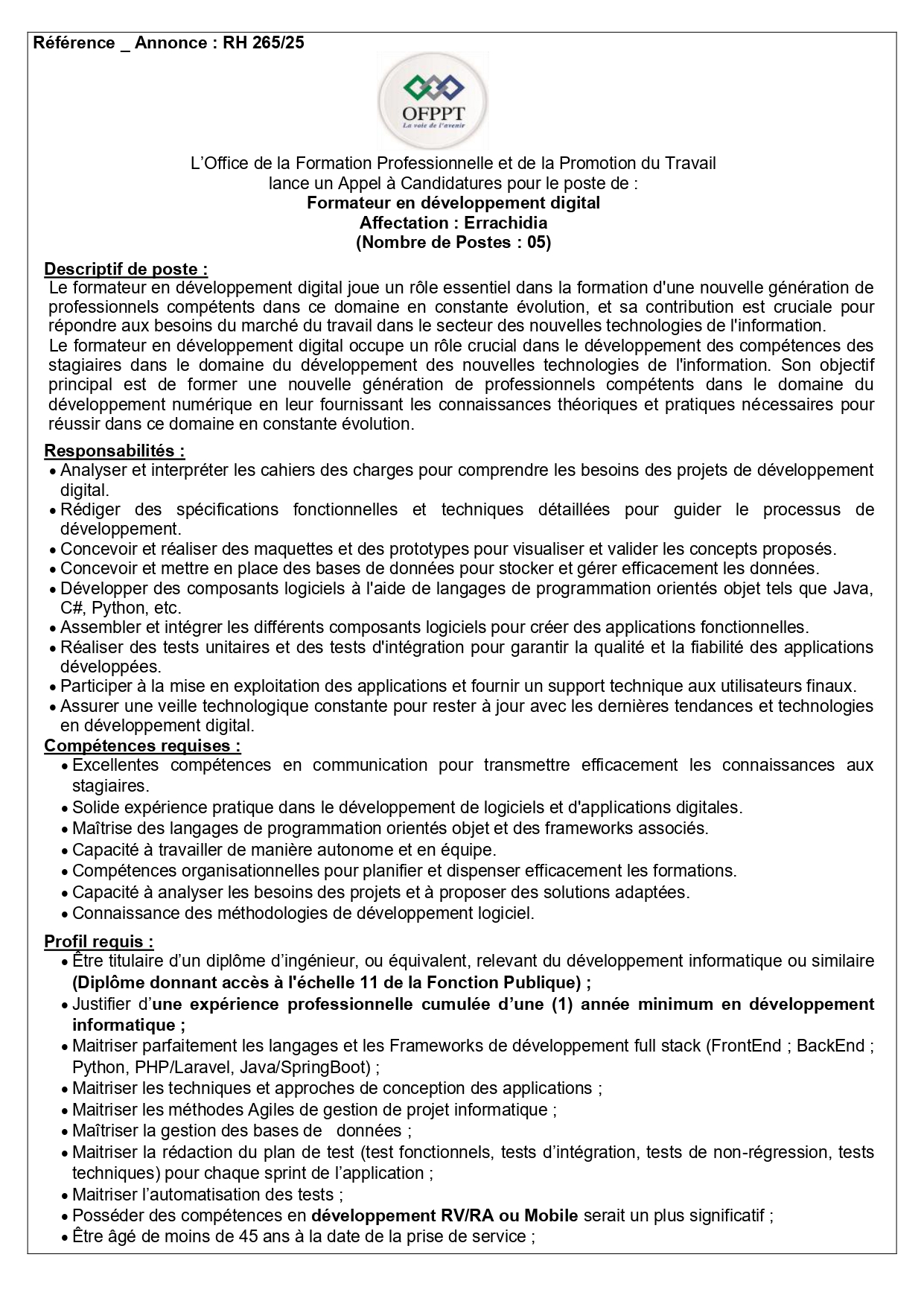 Formateur en Développement Digital Errachidia