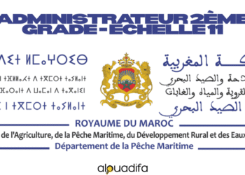 Administrateur 2ème grade echelle 11