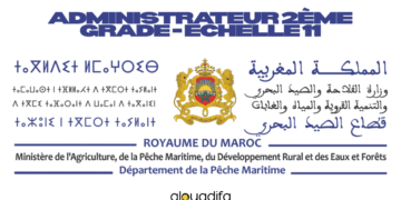 Administrateur 2ème grade echelle 11