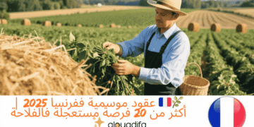 Contrat saisonnier France