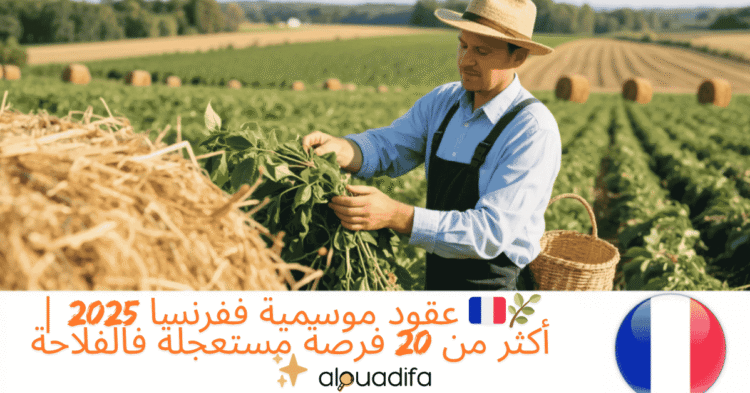 Contrat saisonnier France