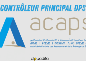 Contrôleur Principal DPS