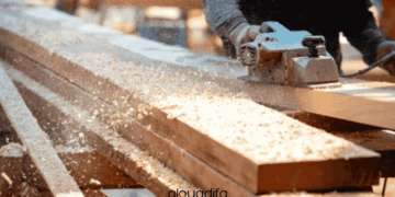 Offre d'Emploi Boiseur