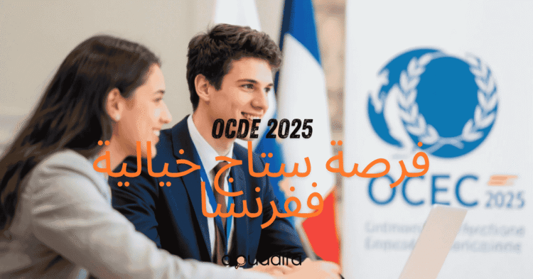 Stage OCDE France 2025