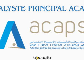 analyste principal ACAPS