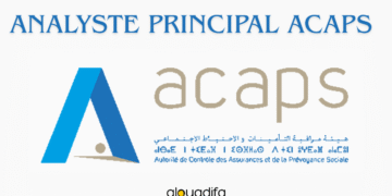 analyste principal ACAPS