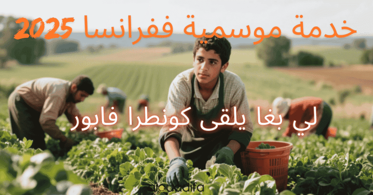 contrats saisonniers France 2025