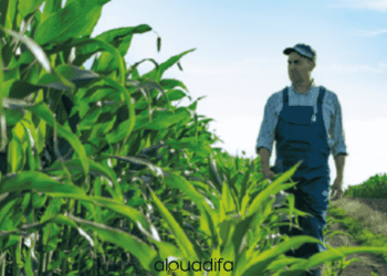 Aide Agricole Polyvalent