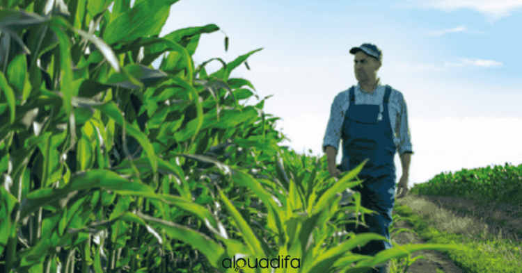 Aide Agricole Polyvalent Taourirt