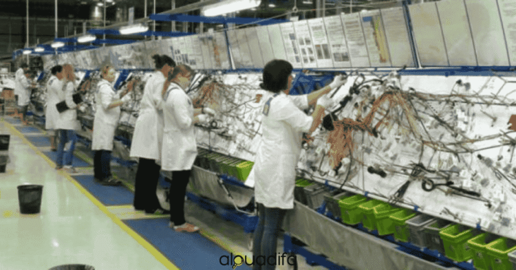 Opérateur Câblage Tanger