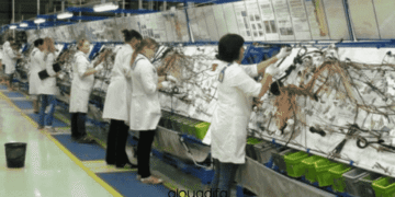 Opérateur sur Machines Automatiques Kénitra