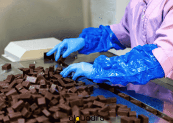 Offre d'Emploi : 50 Ouvrier de Fabrication en Chocolaterie-Confiserie à Casa-Nouacer alwadifa