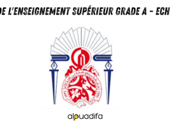 Professeur de l'Enseignement Supérieur