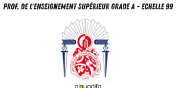 Professeur de l'Enseignement Supérieur