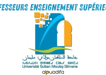 Professeurs Enseignement Supérieur