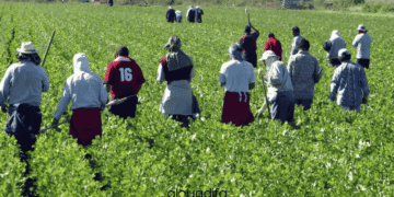 emploi ouvrier agricole Oujda