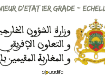 Ingénieur d'Etat 1er grade Ministère des Affaires Étrangères