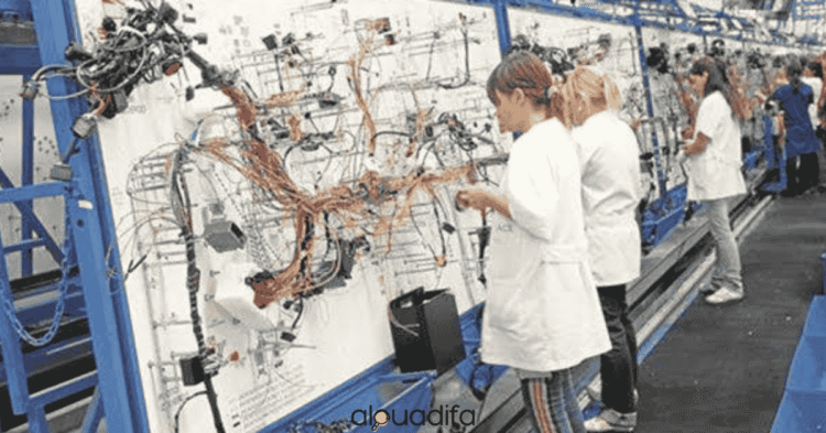 opérateur câblage Sidi Yahya