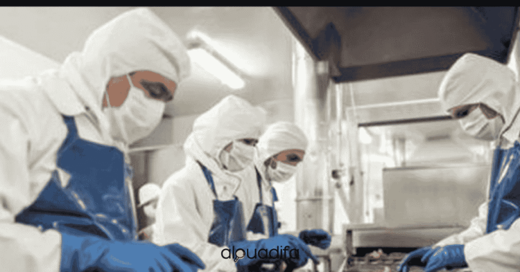 ouvrières de production Mohammedia