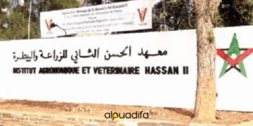 recrutement IAV Hassan II
