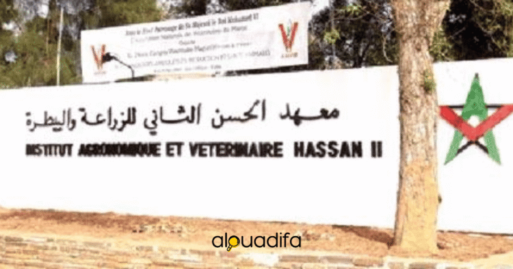 recrutement IAV Hassan II