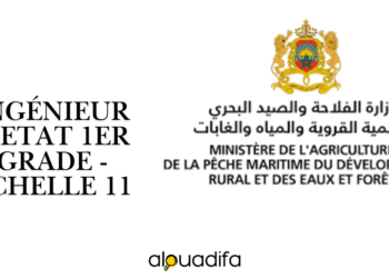 Concours Ingénieur d'État Agriculture