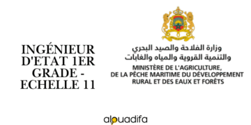 Concours Ingénieur d'État Agriculture