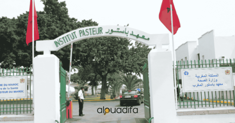 Institut Pasteur Maroc recrutement