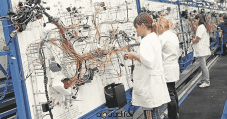 Postes d'Opératrice du Câblage Automobile