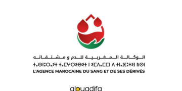 concours recrutement AMSD