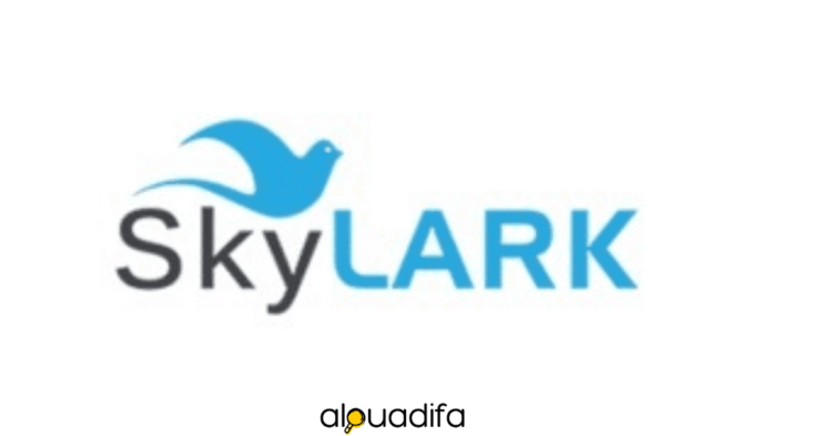 offre d'emploi Skylark Services