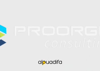 Stage PFE Proorga Consulting