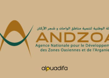 Concours ANDZOA 2026 : Recrutement de 6 Profils à Errachidia 2 alwadifa