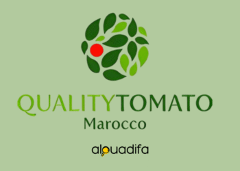 Offres d'Emploi Quality Tomato Morocco : Recrutement CDI à Chtouka Ait Baha 1 alwadifa