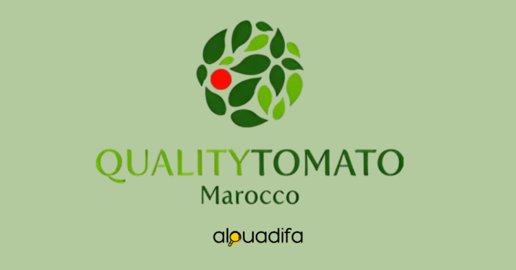 Offres d'Emploi Quality Tomato Morocco : Recrutement CDI à Chtouka Ait Baha alwadifa