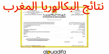 الاطلاع على نتائج البكالوريا 2026 بالمغرب Taalim.ma 3 alwadifa
