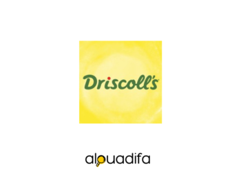 Driscoll's Maroc Recrutement