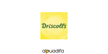 Driscoll's Maroc Recrutement