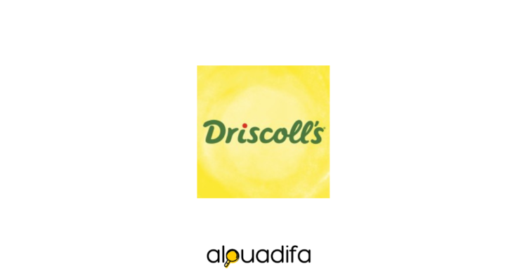 Driscoll's Maroc Recrutement