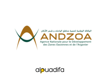 ANDZOA recrute
