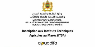 Concours ITSA