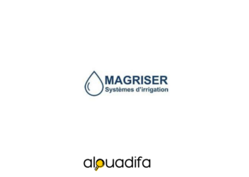 Magriser Recrute