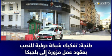 شبكة دولية للنصب