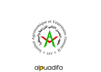 APESA IAV