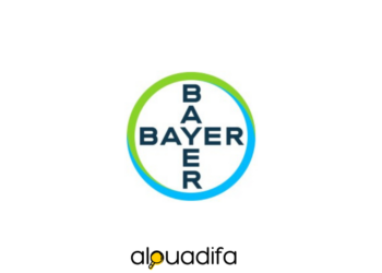 Bayer recrute